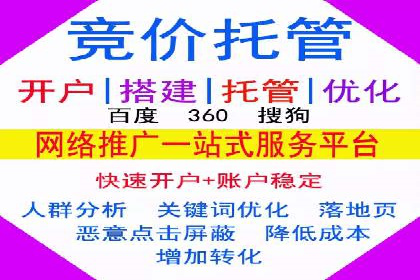 竞价SEM助力电商平台快速提升流量